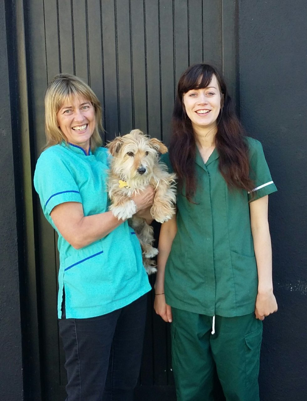 About us Bairbre O'Malley Veterinary Hospital